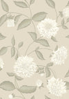 Dahliadröm, Beige