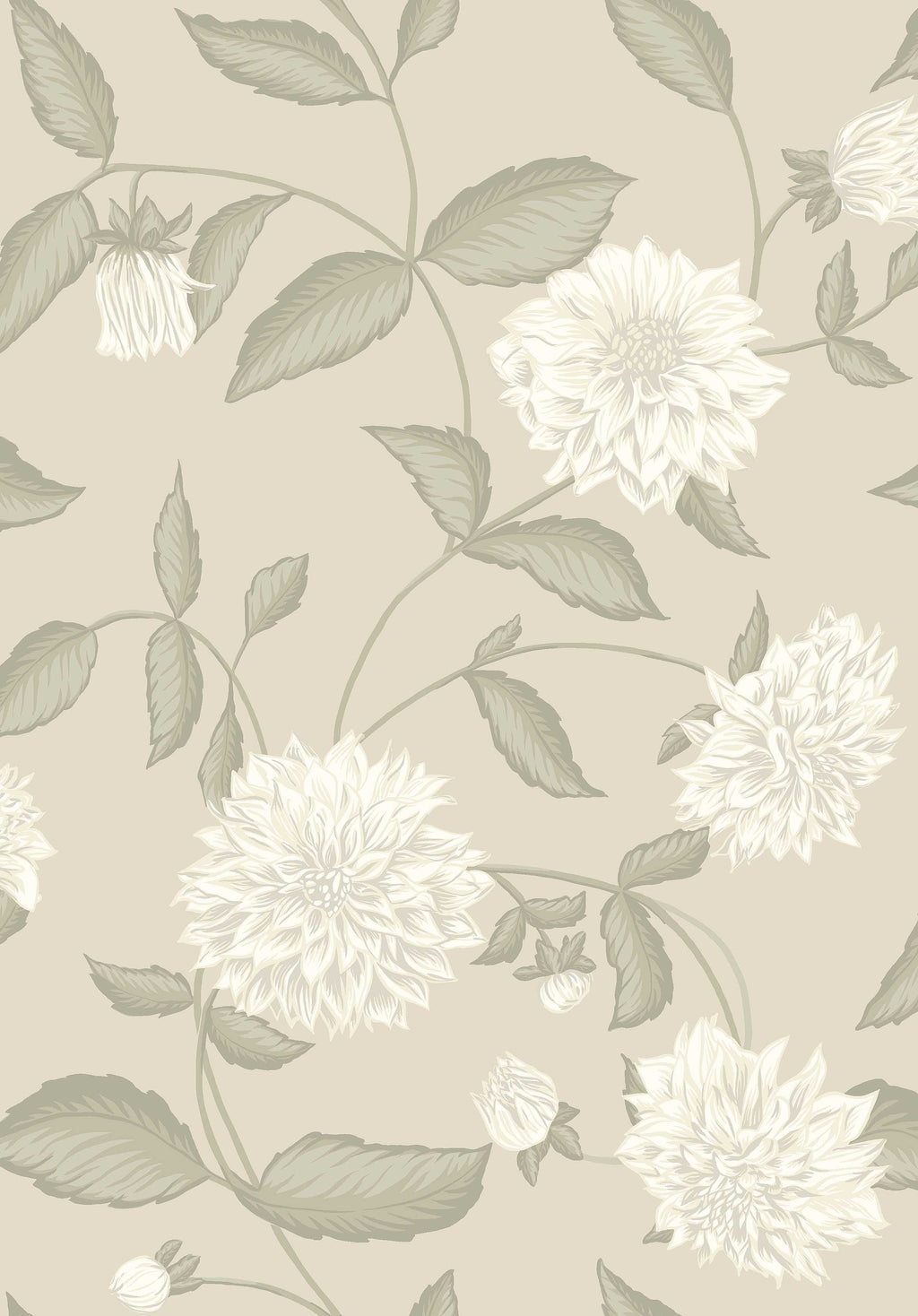 Dahliadröm, Beige