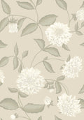 Dahliadröm, Beige