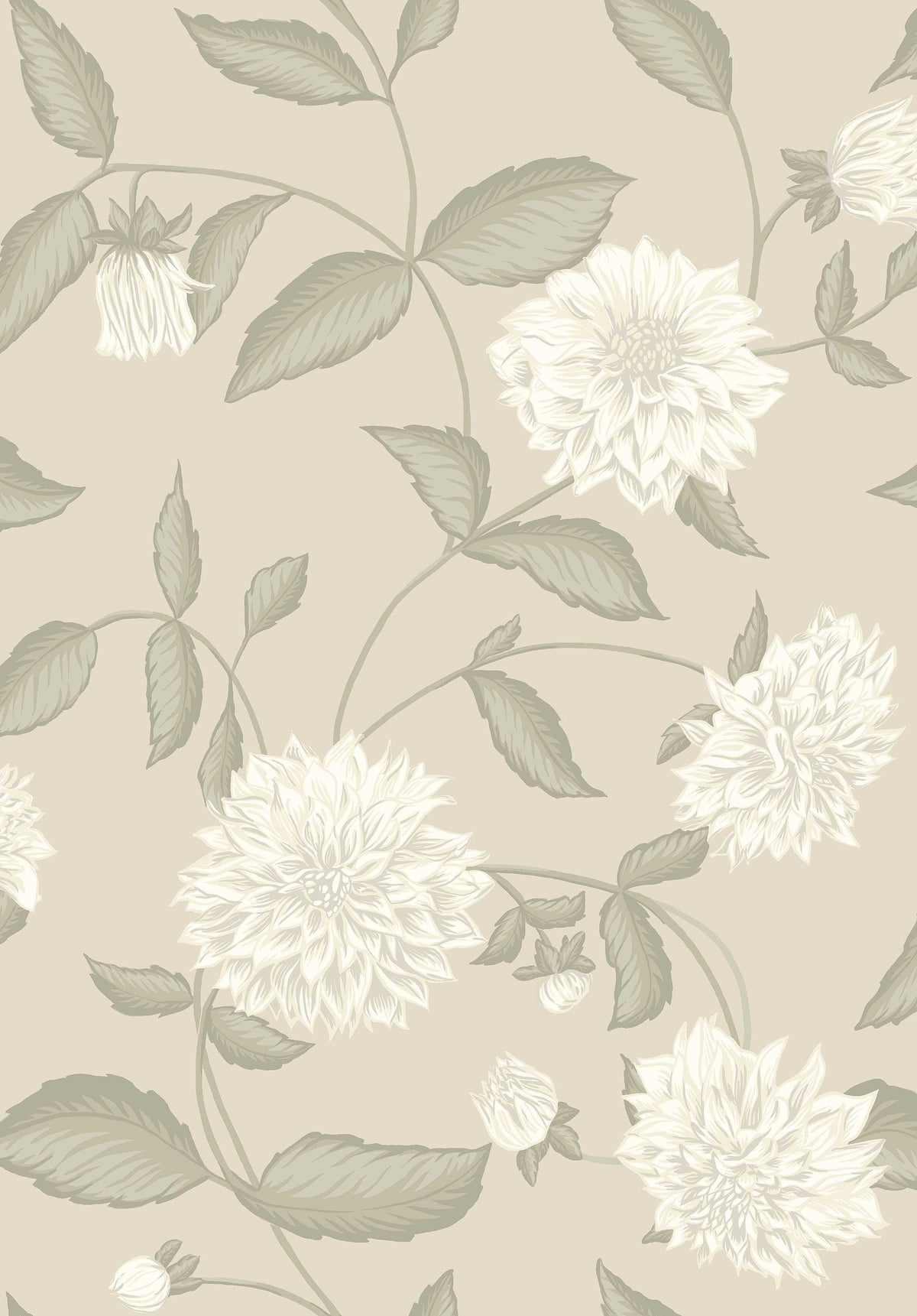 Dahliadröm, Beige