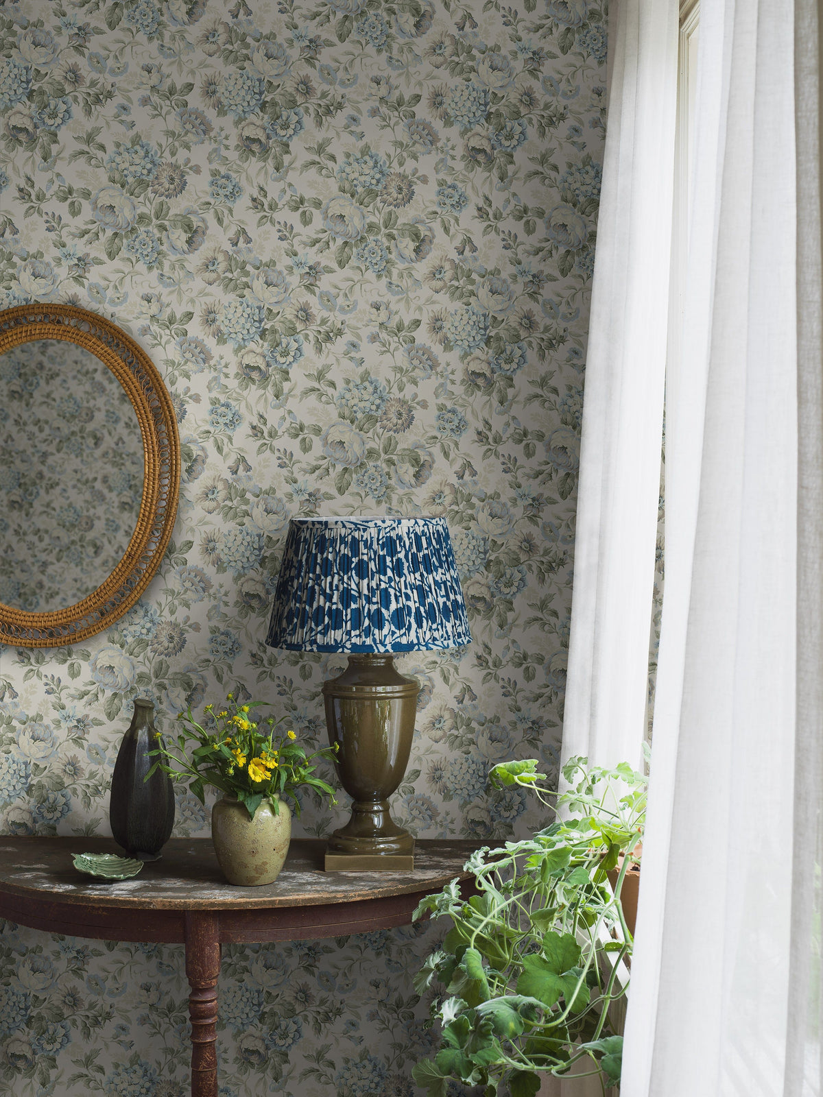 Hortensia, Blue