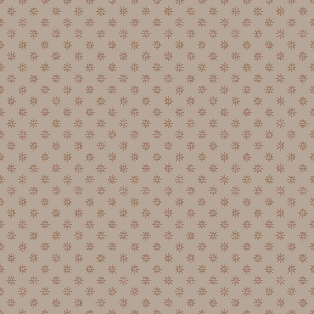 Skogsstjärna, Brown