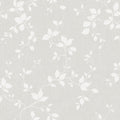 Siri, Gray