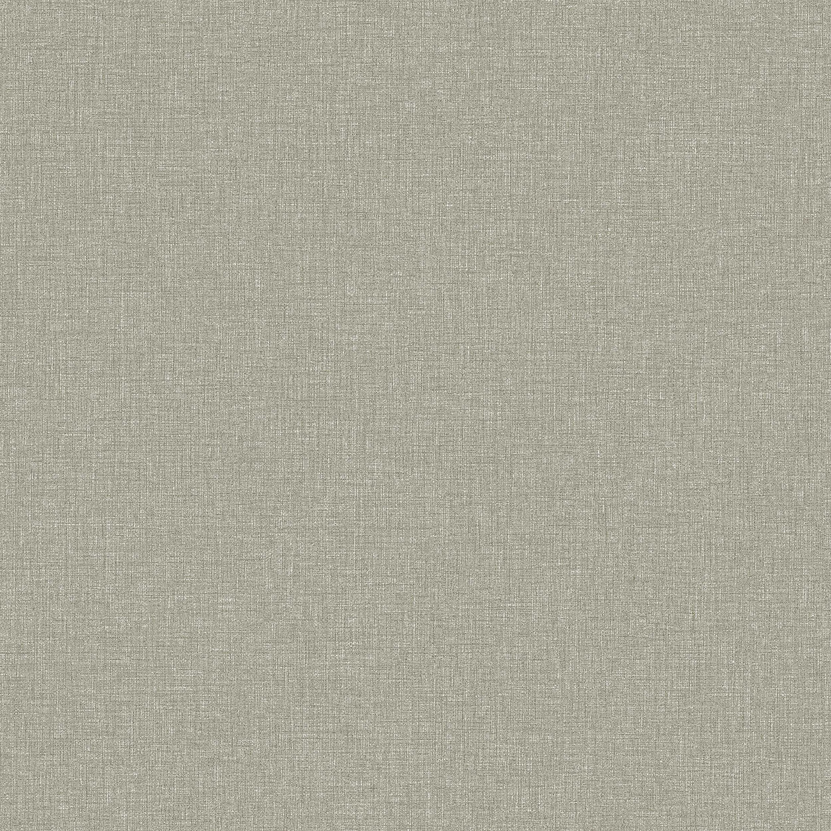 Canvas Olive, Green