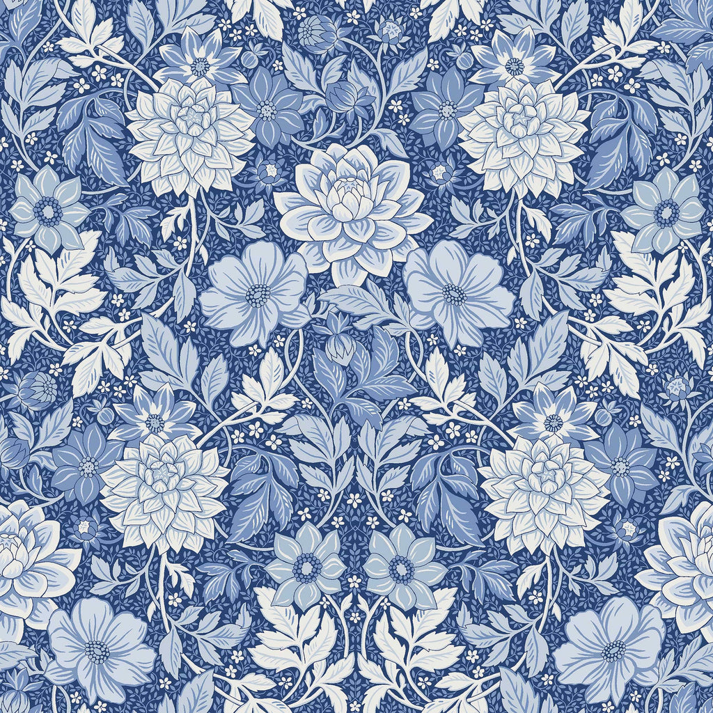 Dahlia Garden, Blue