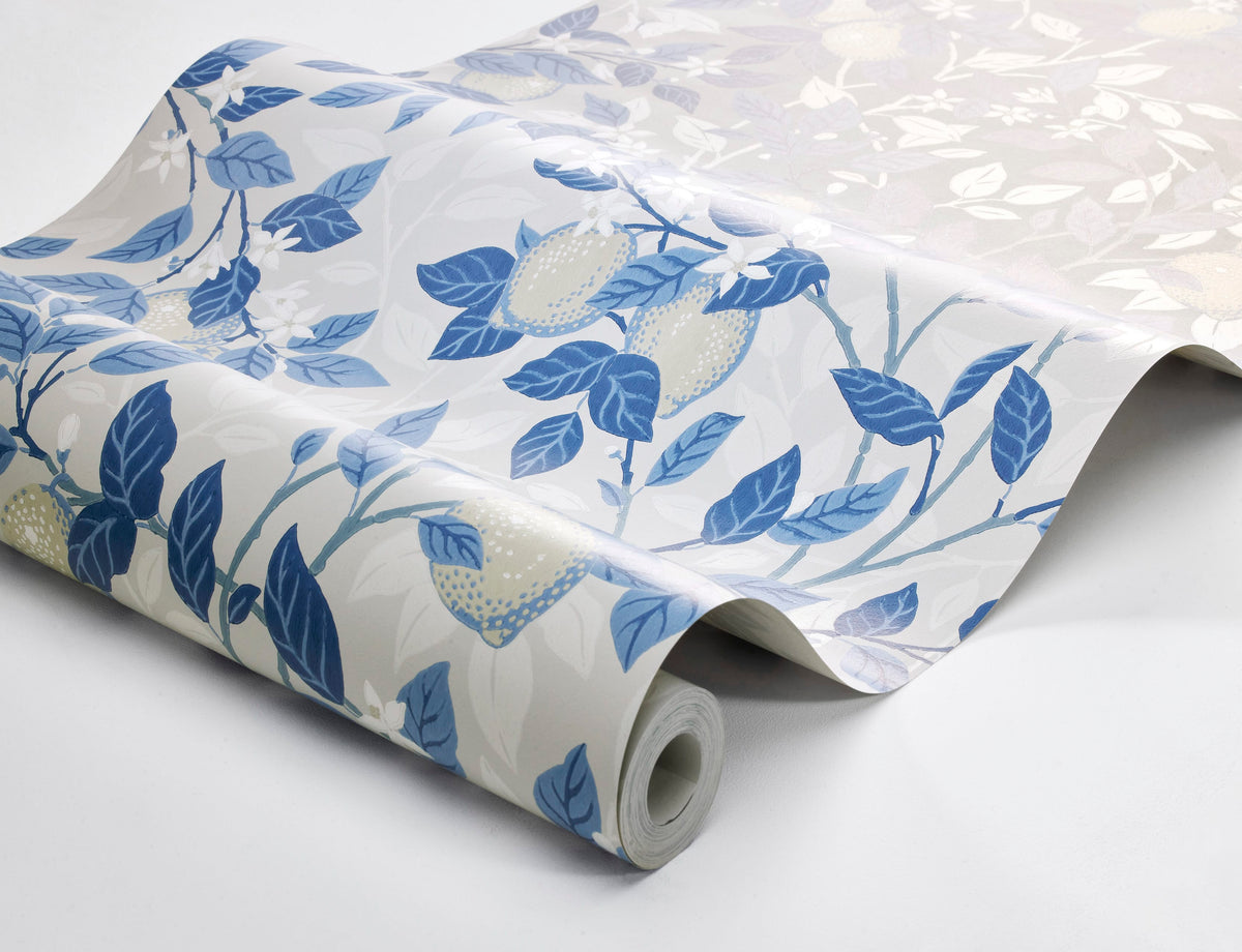 Citronträd, Blue