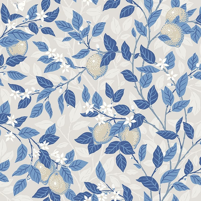 Citronträd, Blue