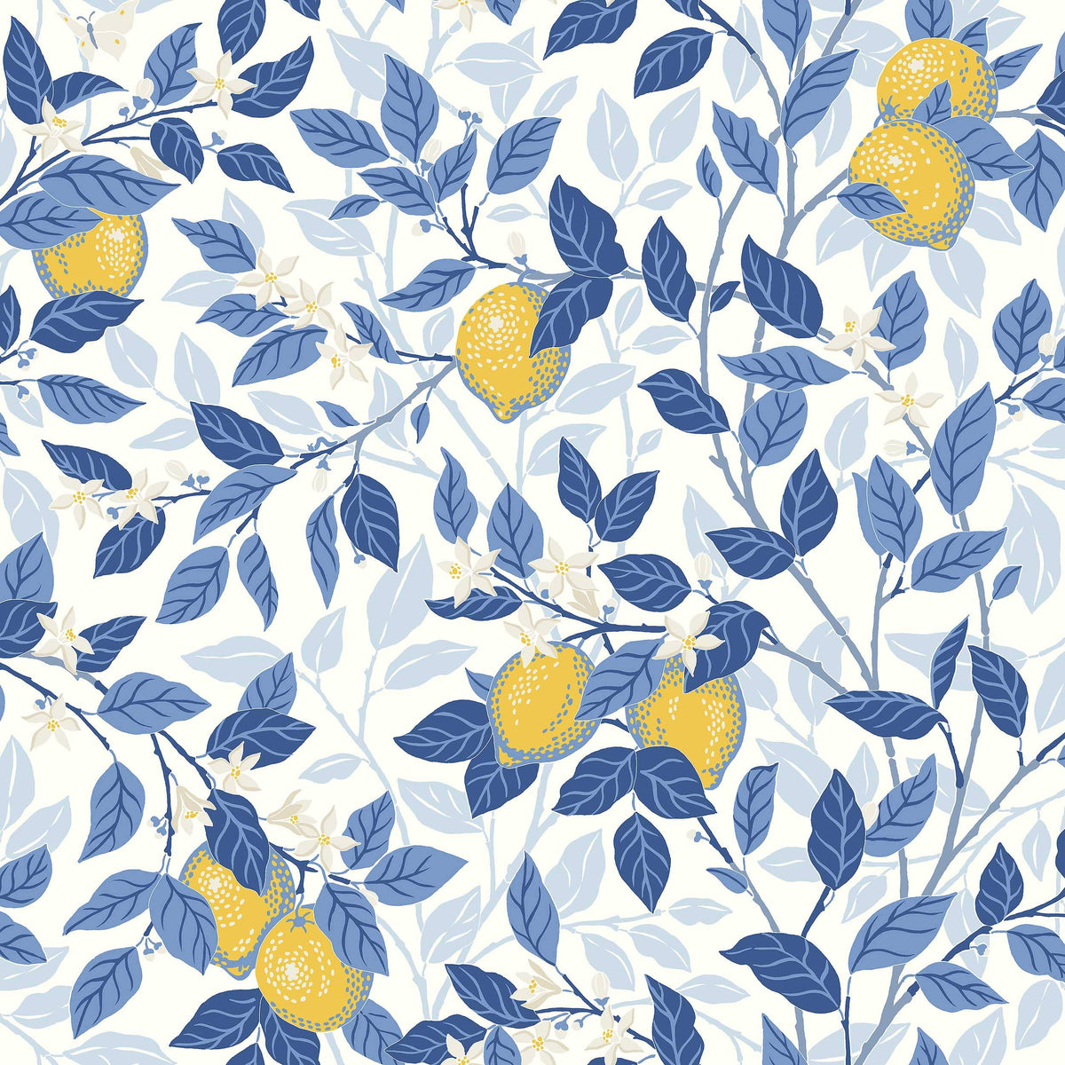 Citronträd, Blue