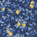 Citronträd, Blue