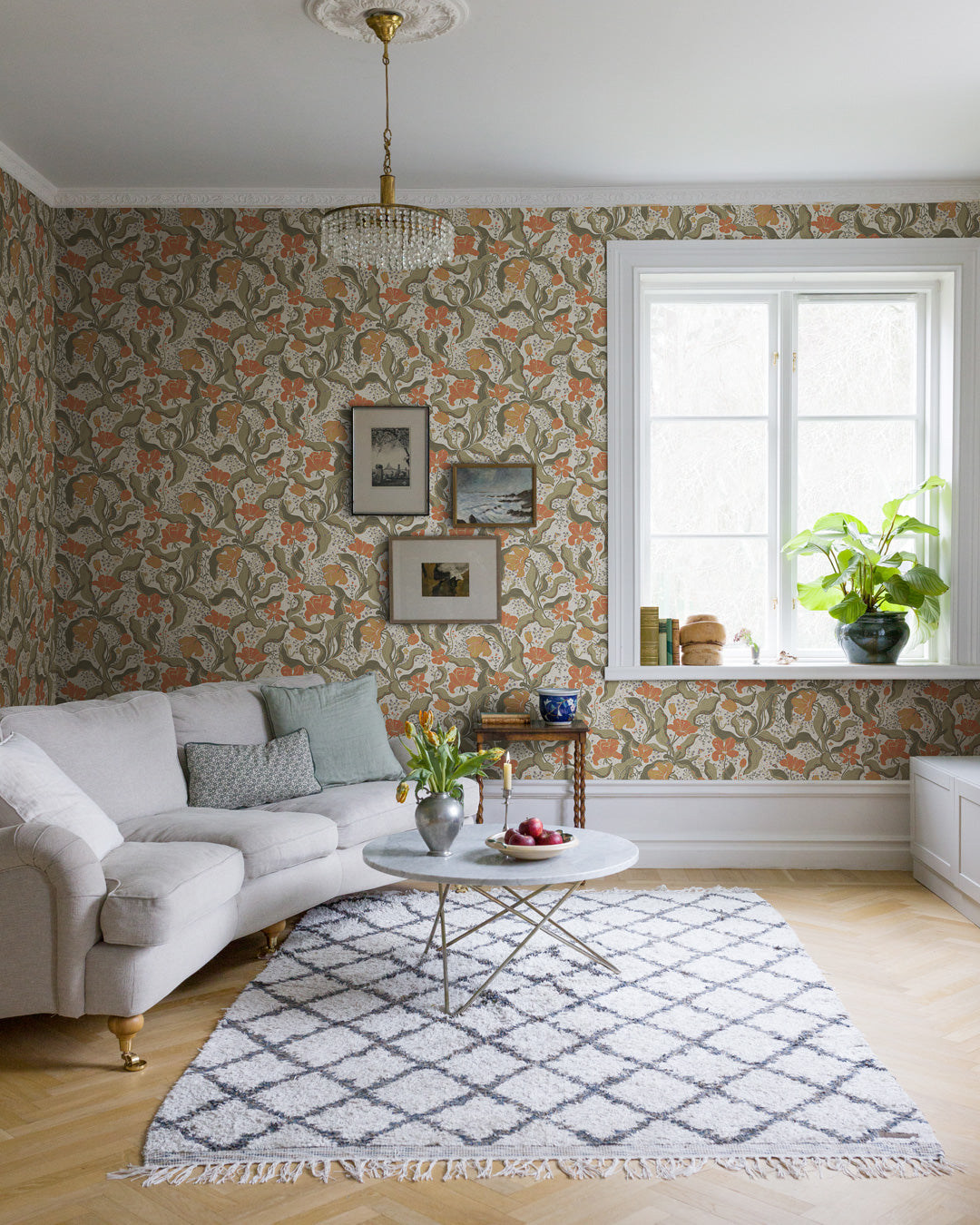 Bodri – 65119