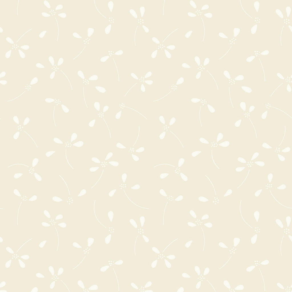 Anemone, Beige