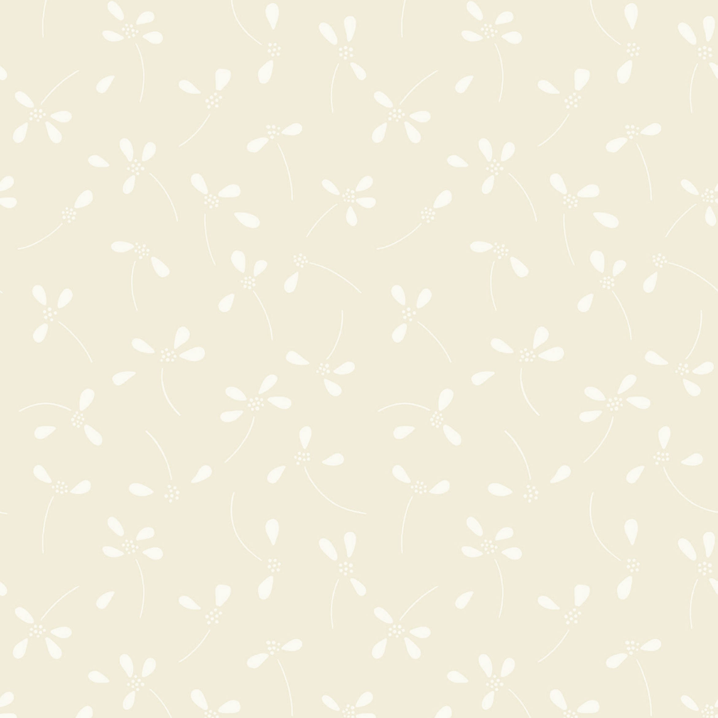 Anemone, Beige