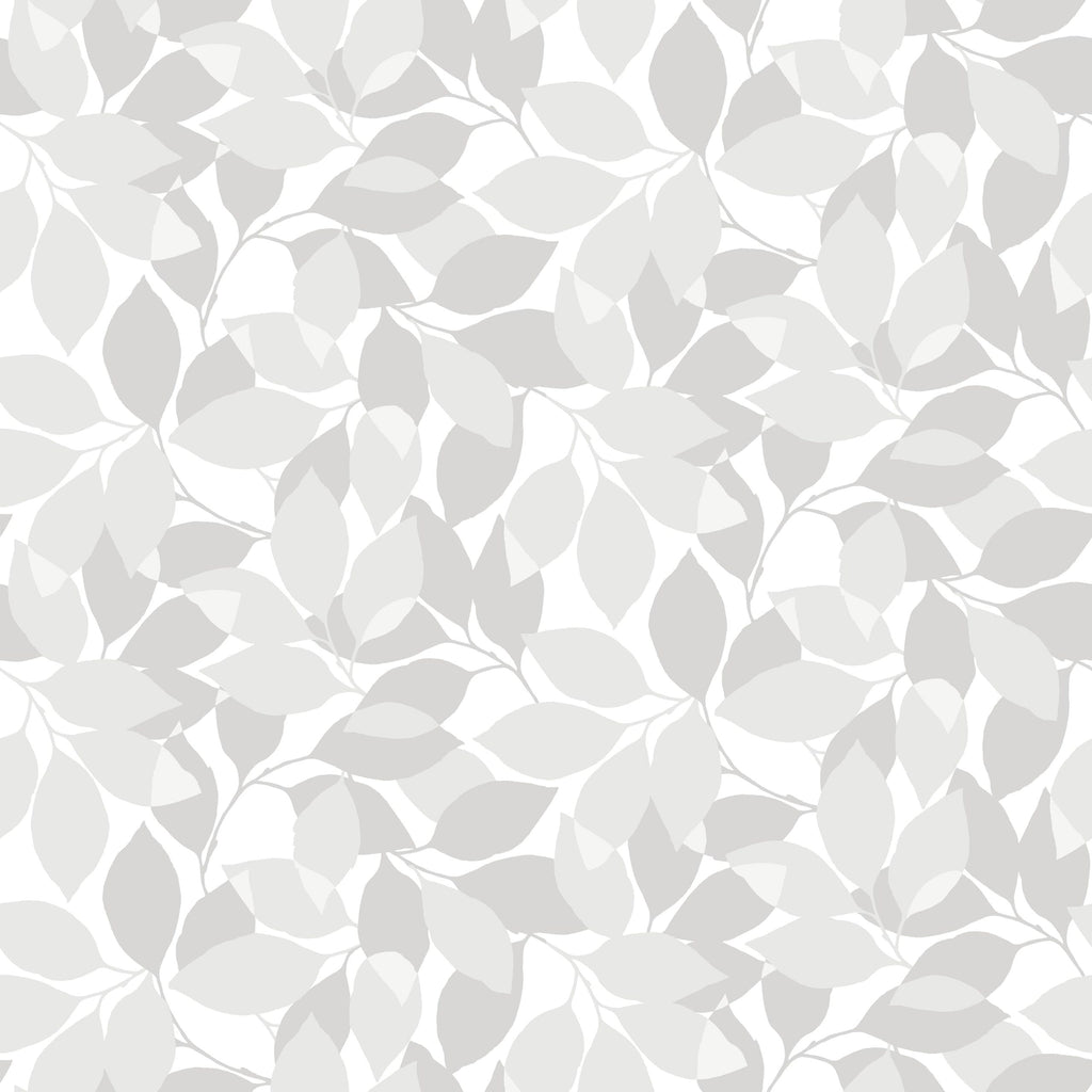 Augusti, Gray