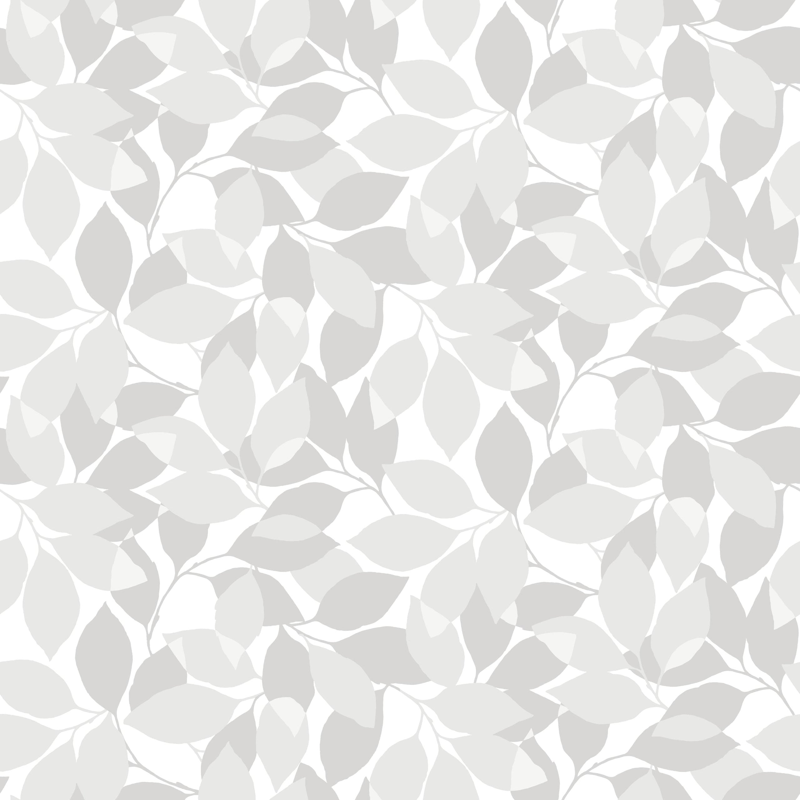 Augusti, Gray
