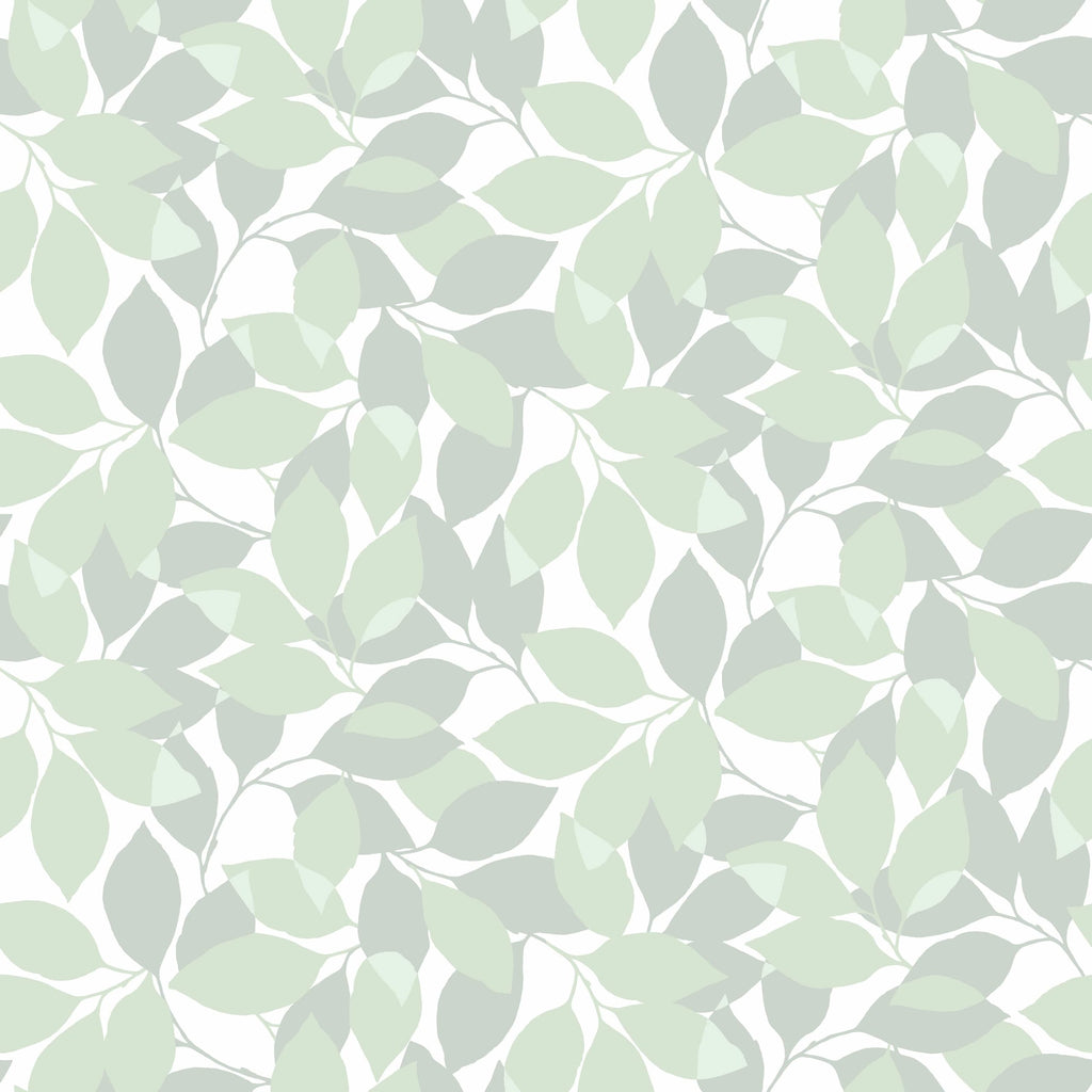 Augusti, Green