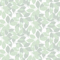 Augusti, Green