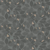 Augusti, Black