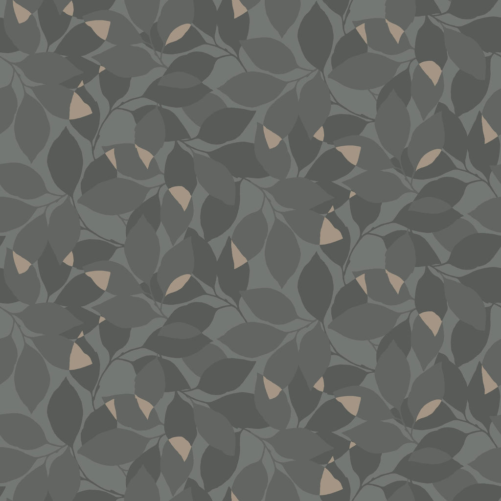 Augusti, Black