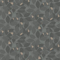Augusti, Black