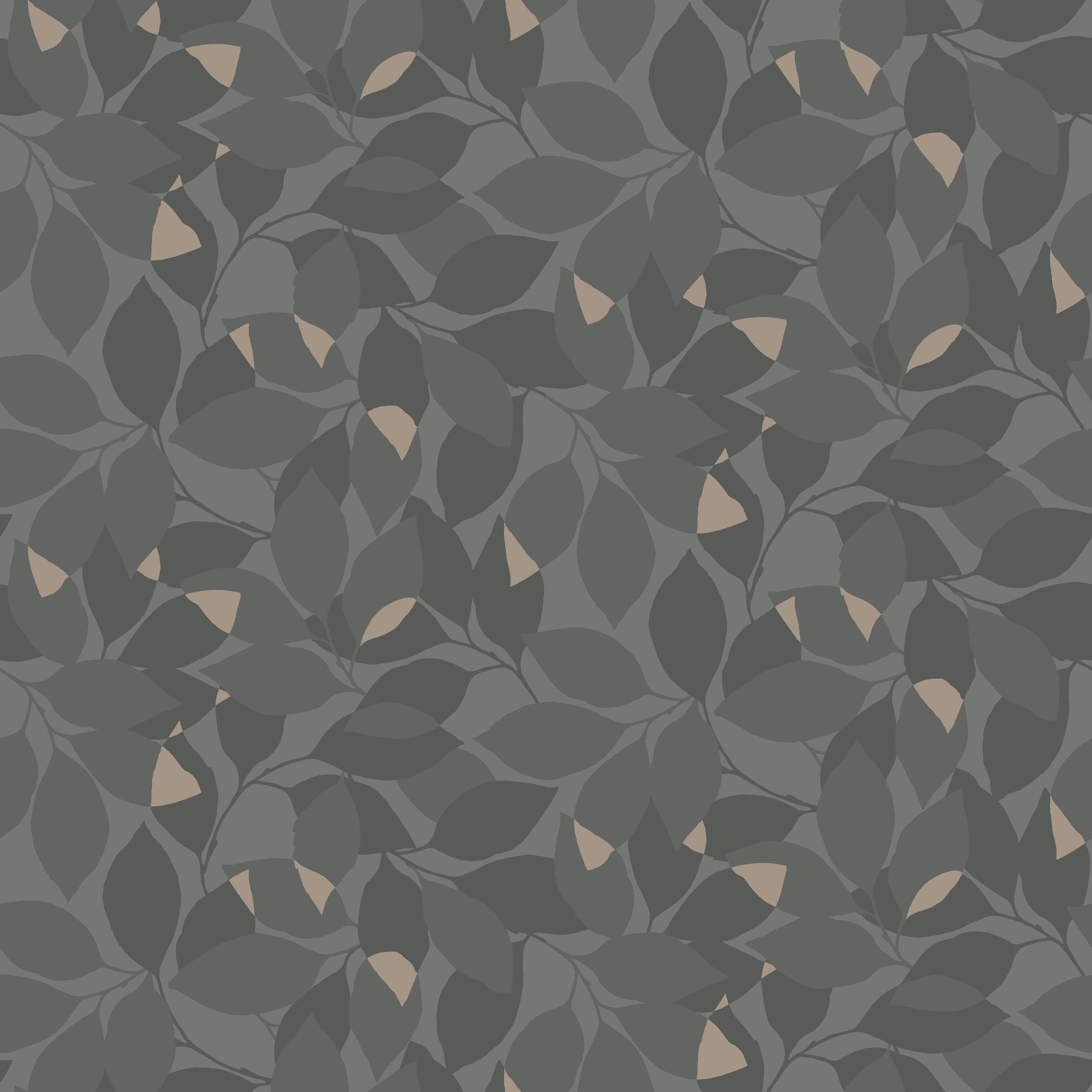 Augusti, Black