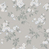 Karin, Gray/White