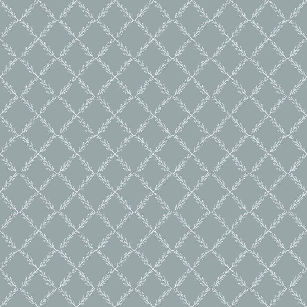 Vide, Blue