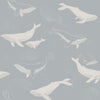 Whales, Blauw