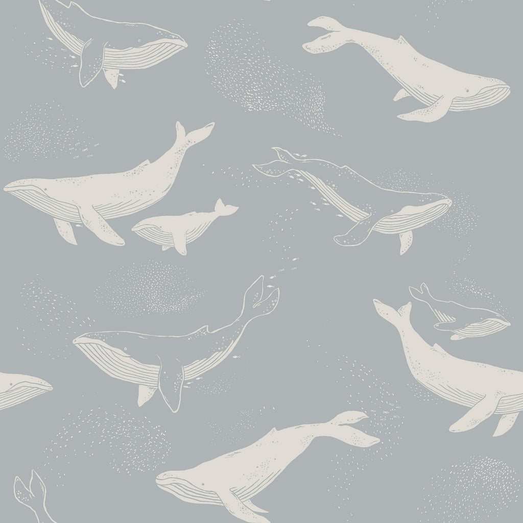 Whales, Blauw