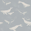 Whales, Blauw