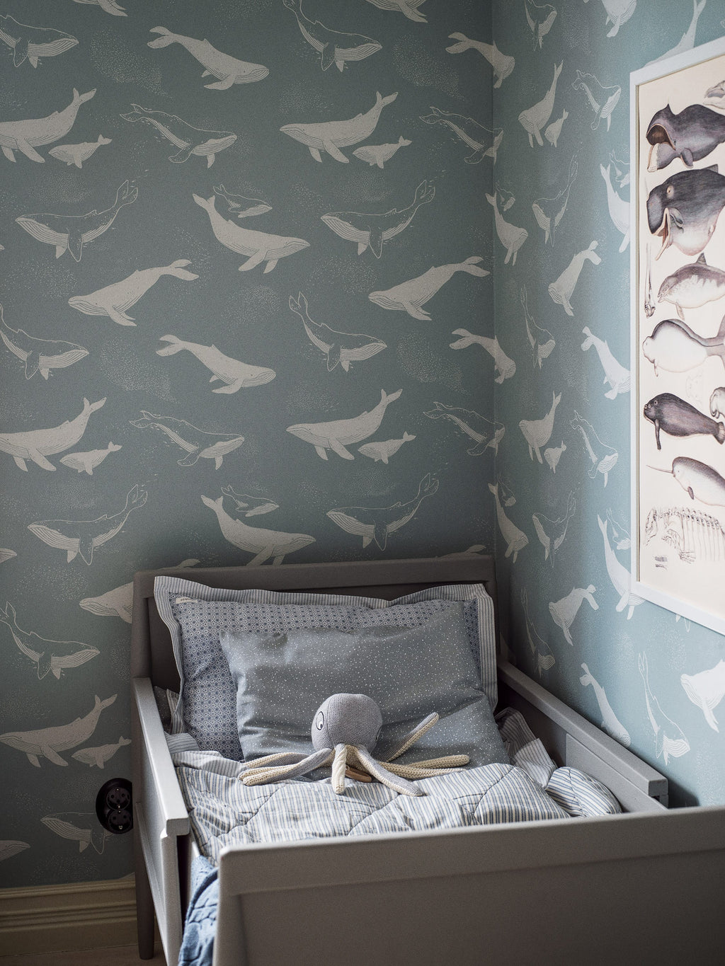 Whales, Blauw