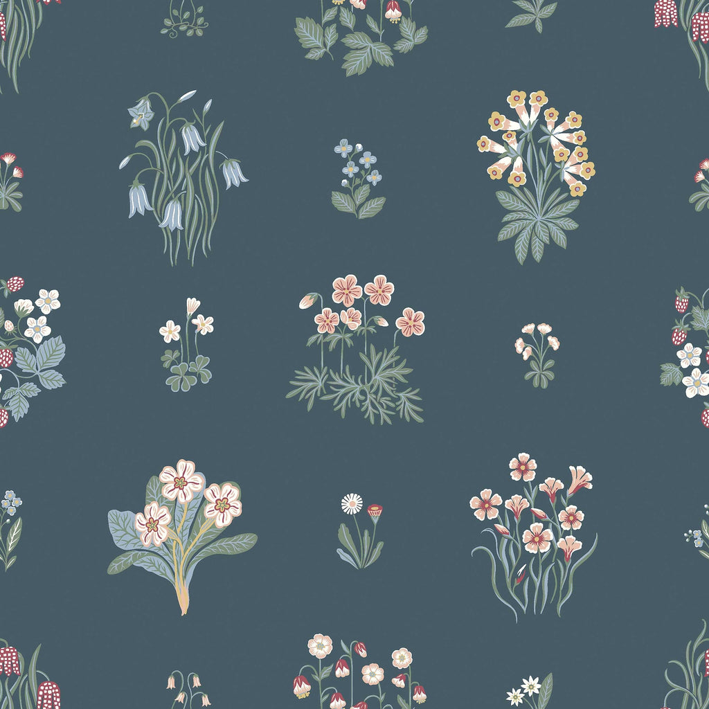 Ängsflora, blauw