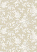Syren, Beige