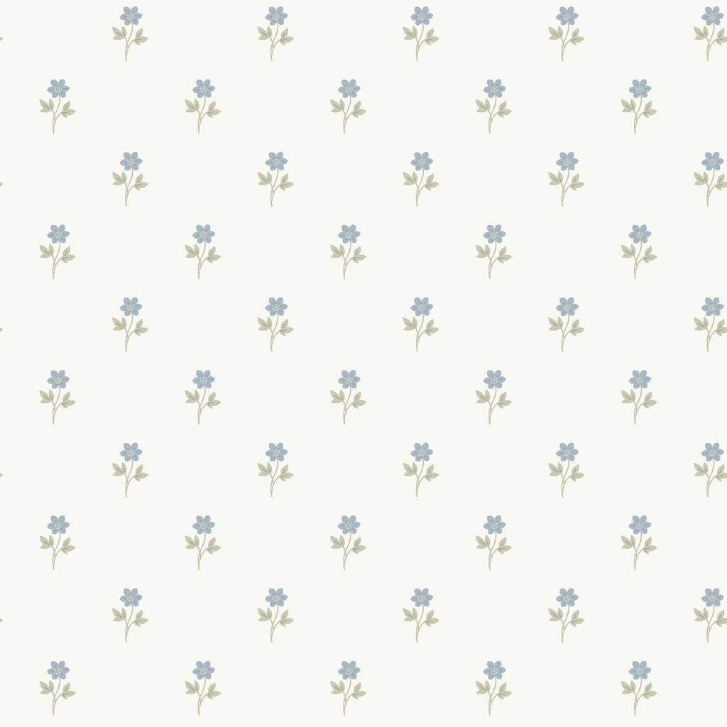 Anemone 6974 wallpaper by Borastapeter