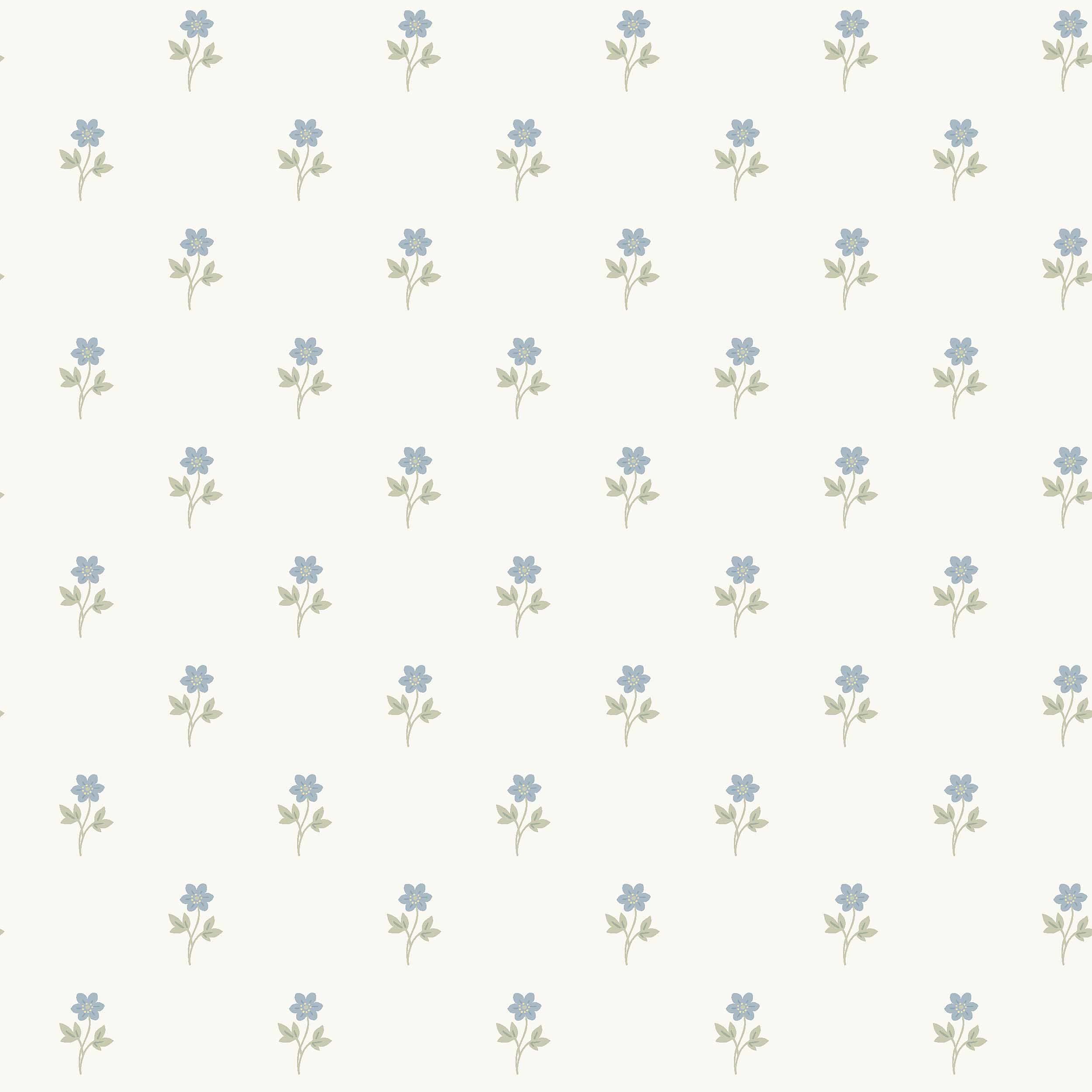 Anemone 6974 wallpaper by Borastapeter