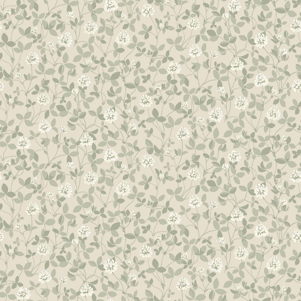 Klöver, Beige