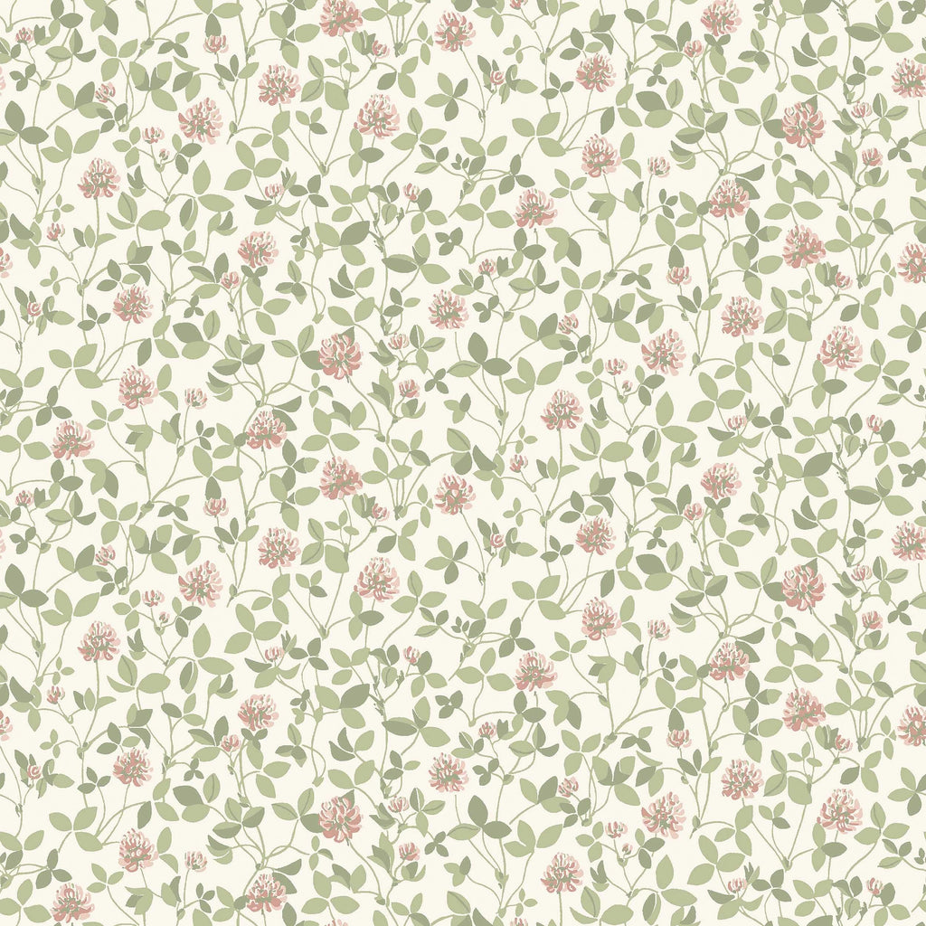 Klöver, Pink