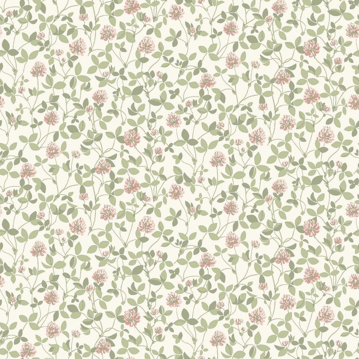 Klöver, Pink