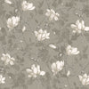 Lily Tree, Grey