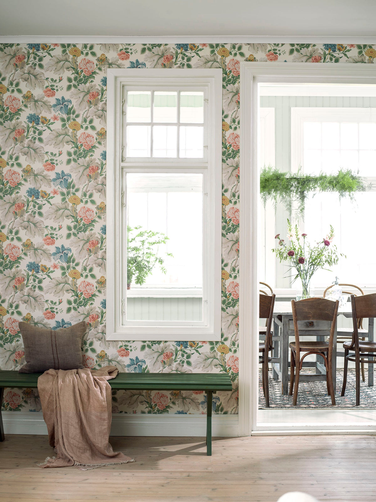 Carnation Garden, Multi