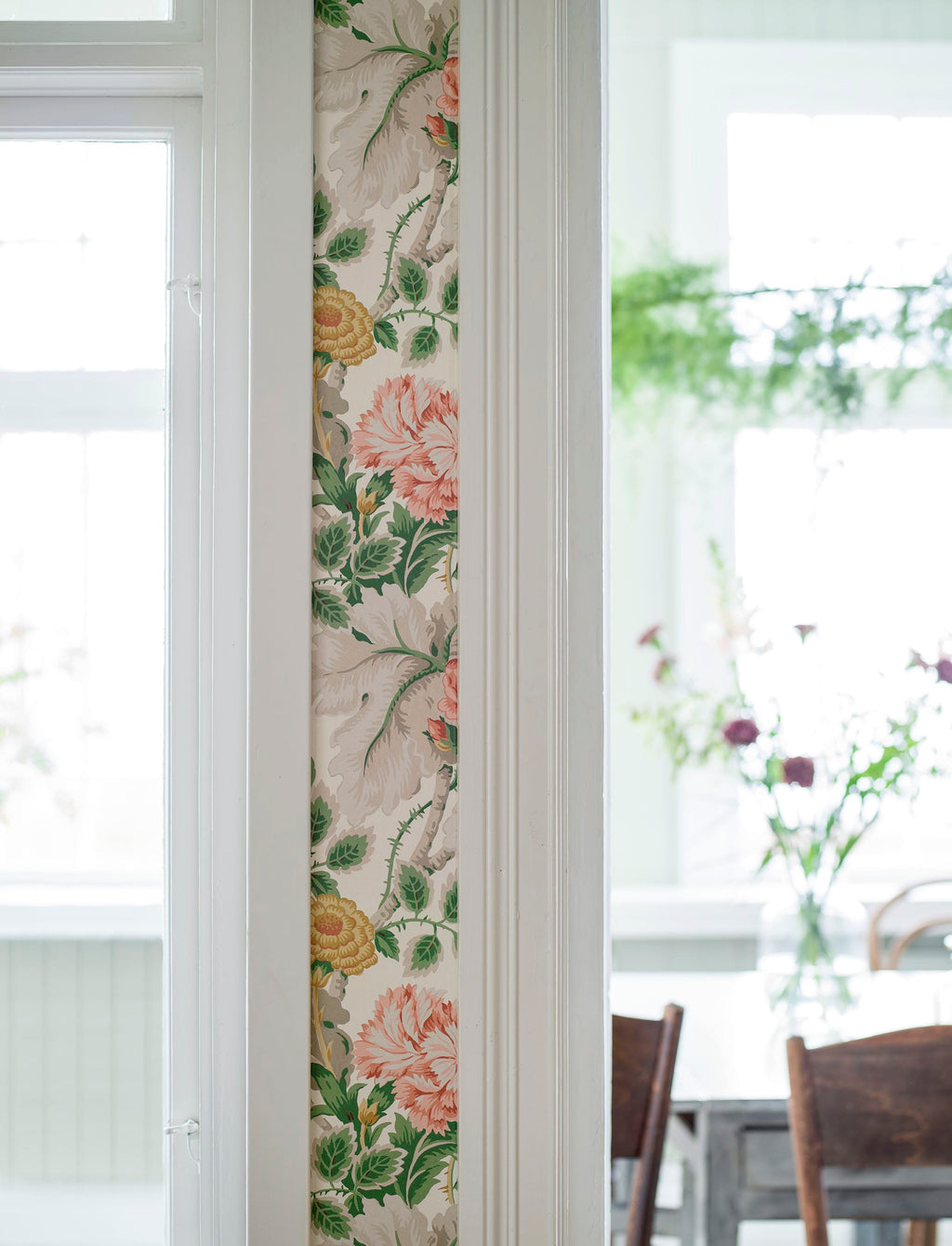Carnation Garden, Multi