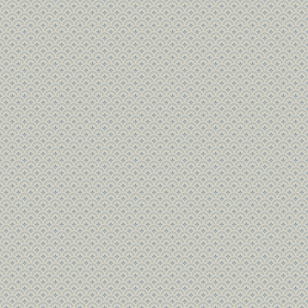 Daisy, Grey