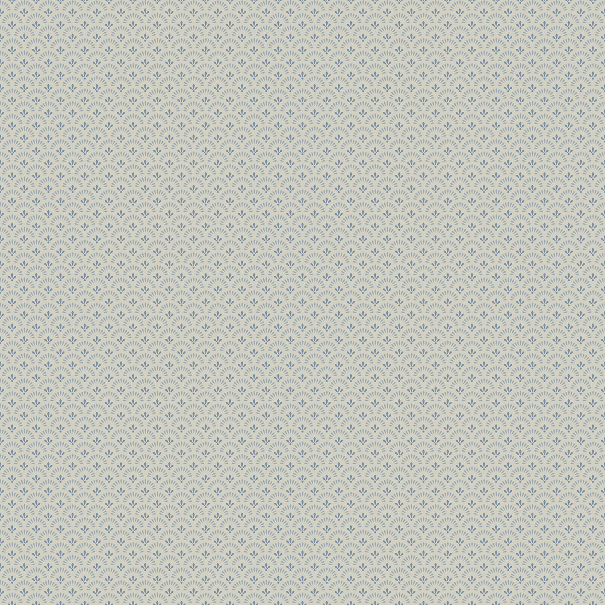 Daisy, Grey