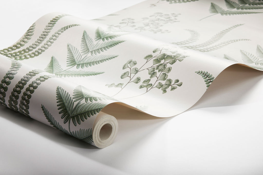 Herba, White