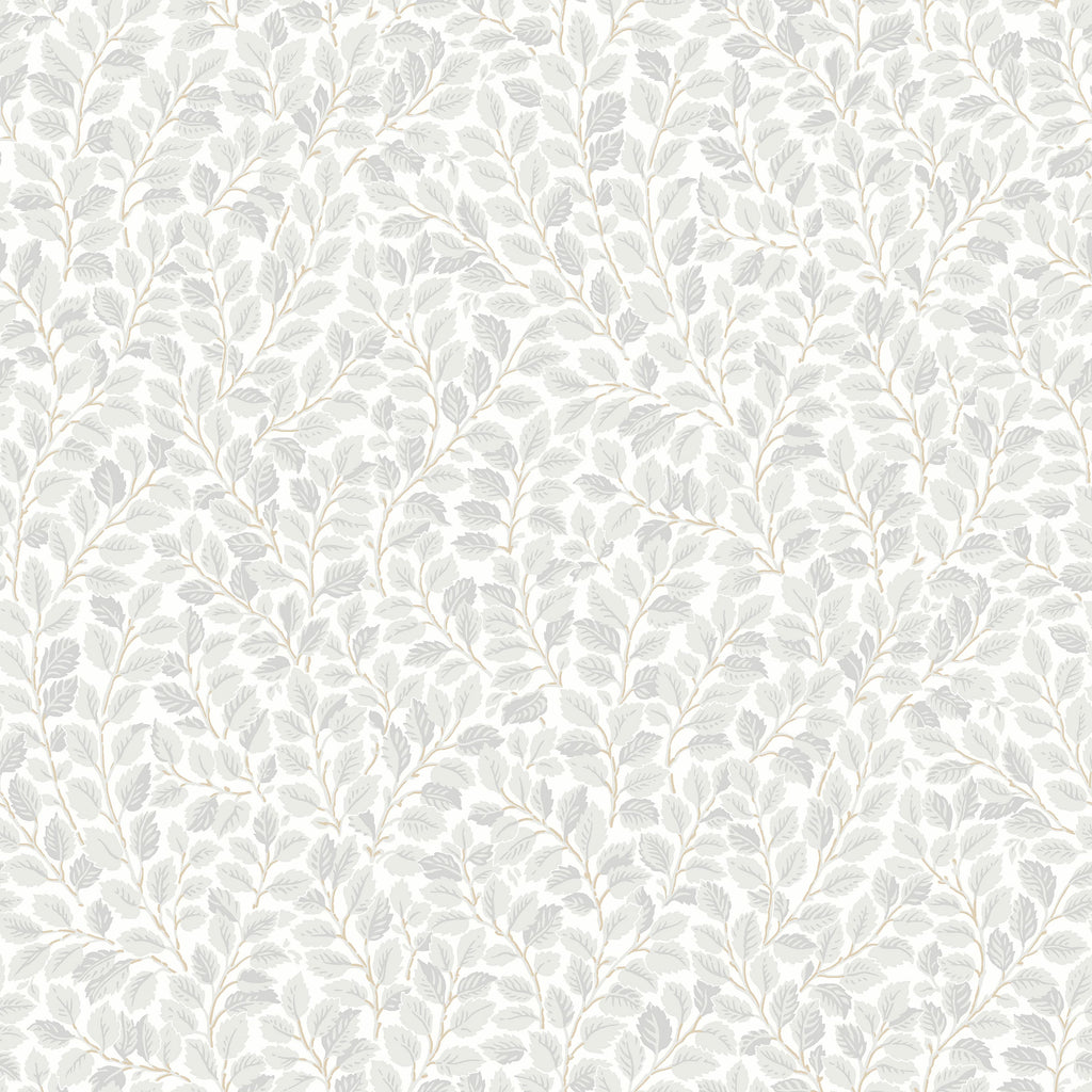 Hazel, Grey