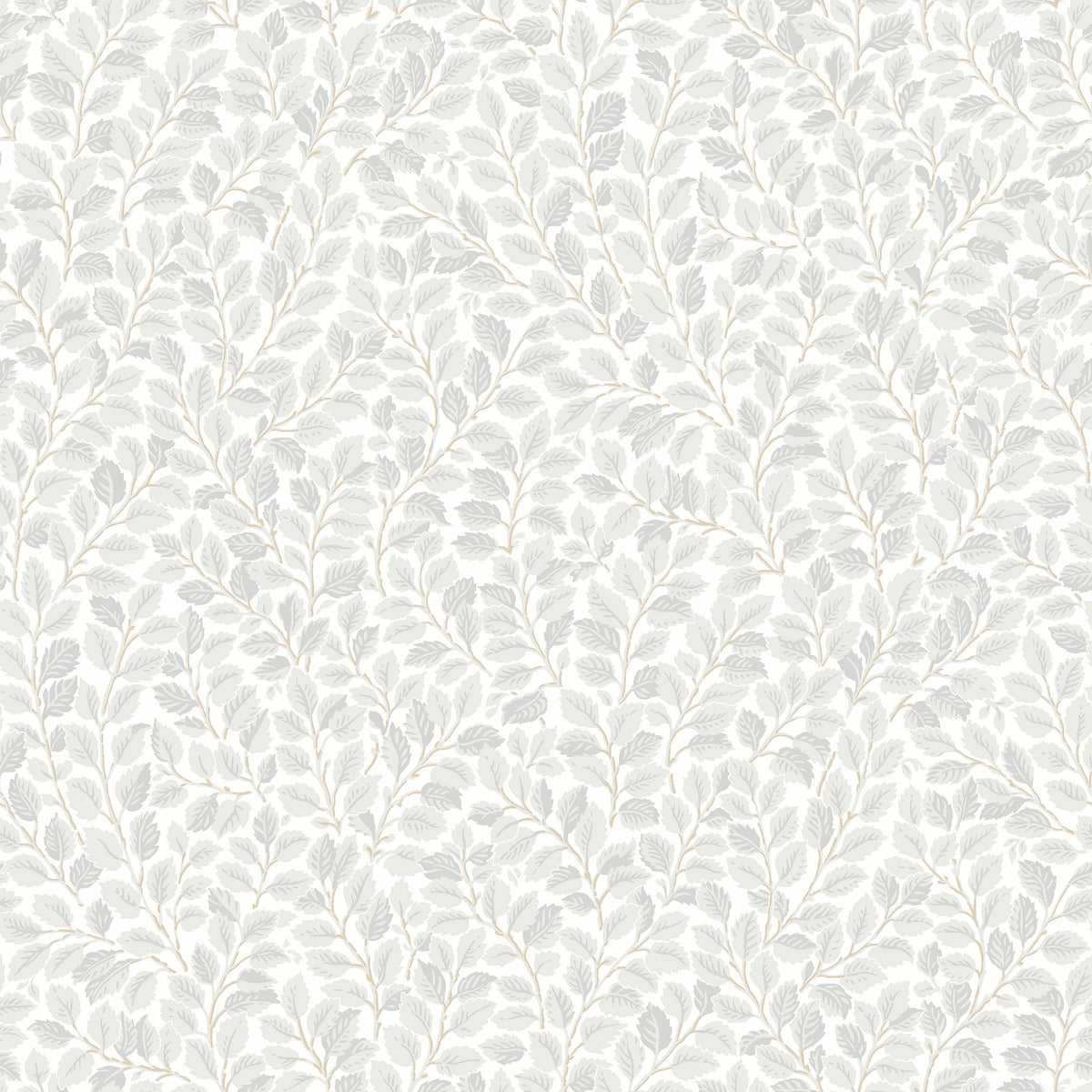 Hazel, Grey
