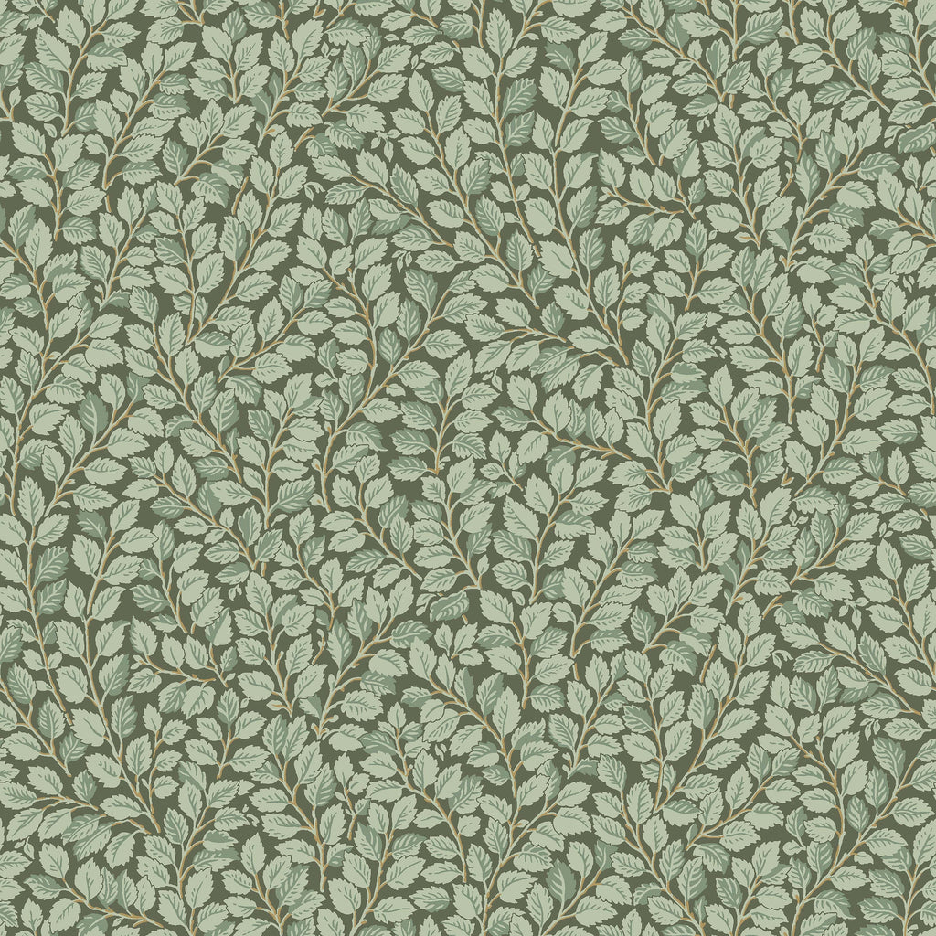 Hazel, Green