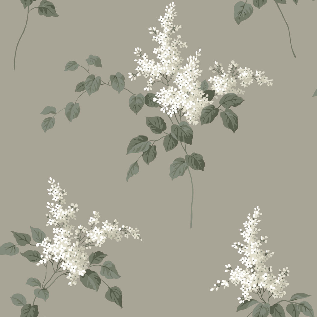 Lilacs, Brown