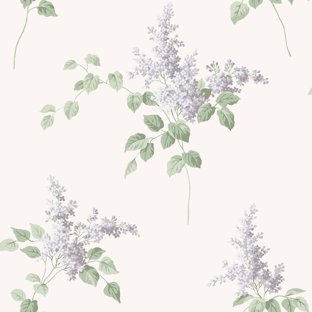 Lilacs - Pink