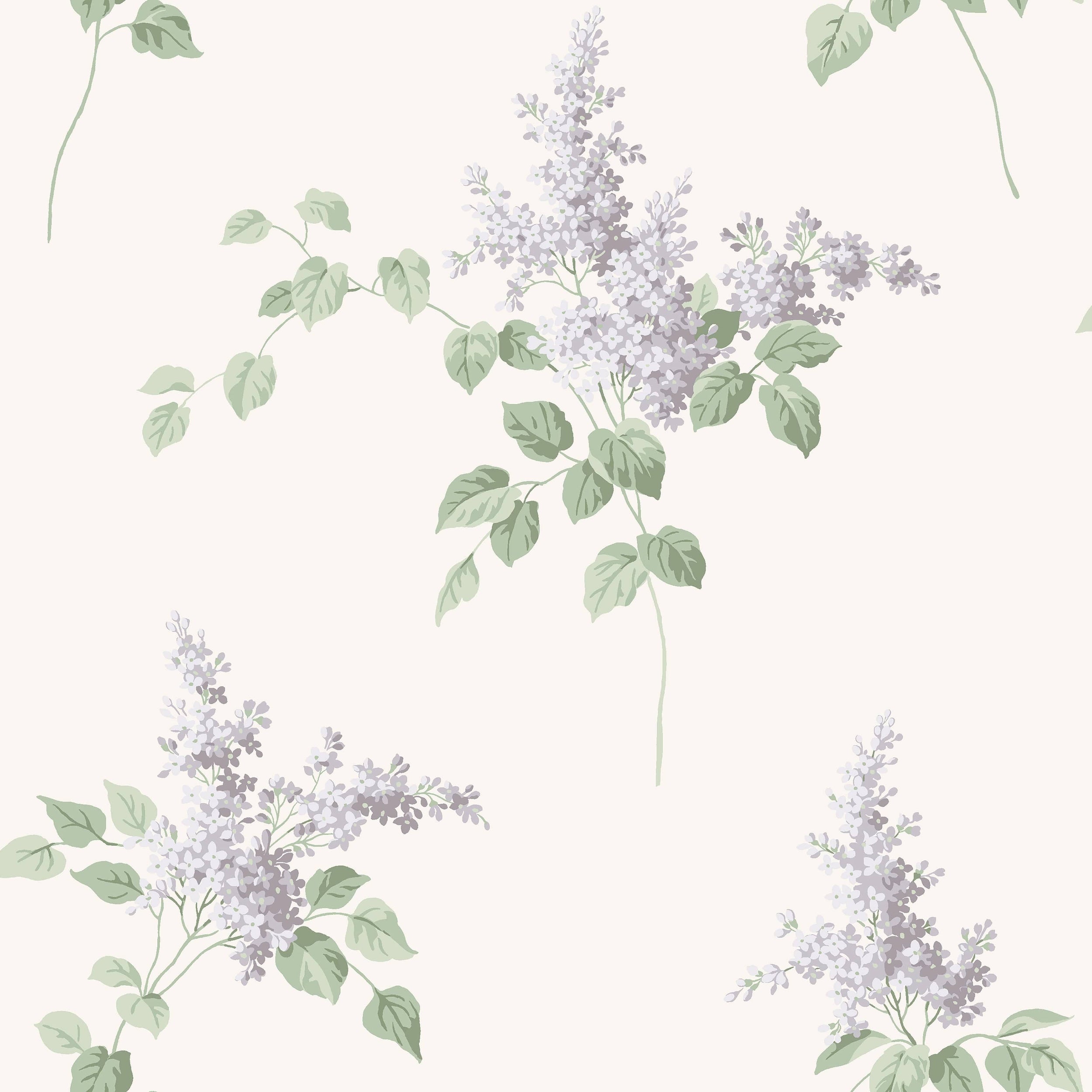 Lilacs - Pink