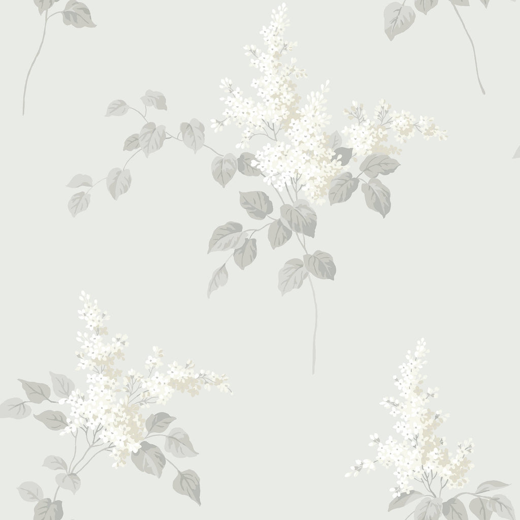 Lilacs, Grey